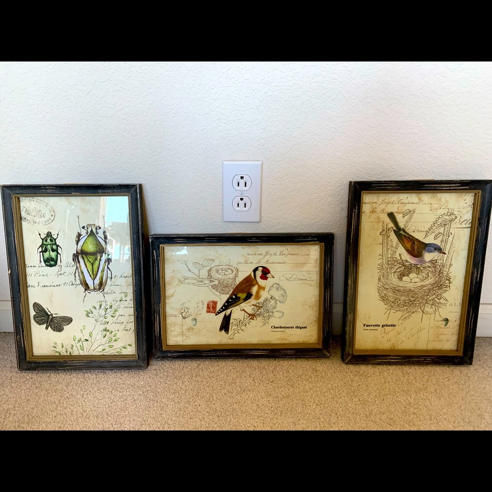Framed nature prints